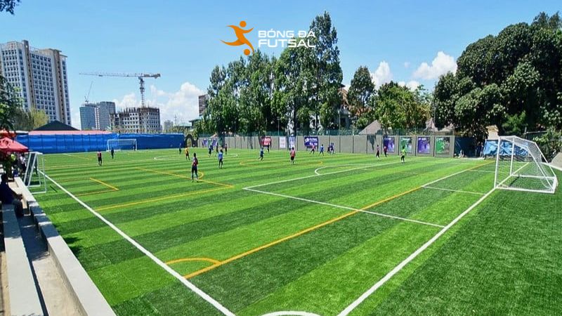 Sân bóng đá q10 MobiSports