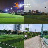 Sân Gia Quất phù hợp đá 7 người vào buổi tối