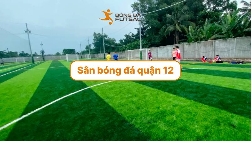 Top 20 sân bóng đá quận 12 uy tín, mặt cỏ đẹp, giá thuê hợp lý