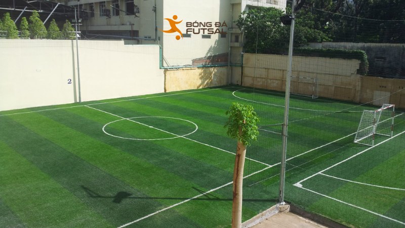 Địa điểm phổ biến, chất lượng sân tốt, môi trường lành mạnh