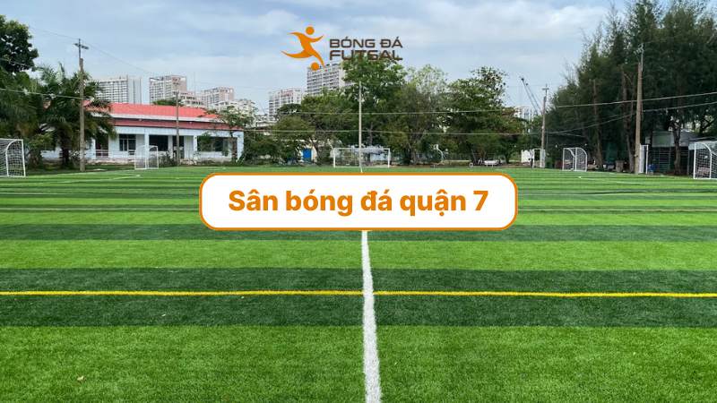 Top 14 Sân bóng đá quận 7 giá tốt, điểm thuê sân bóng lý tưởng