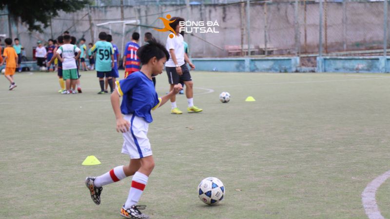 Thuê sân bóng ở Quận 8 Thái Sơn Nam