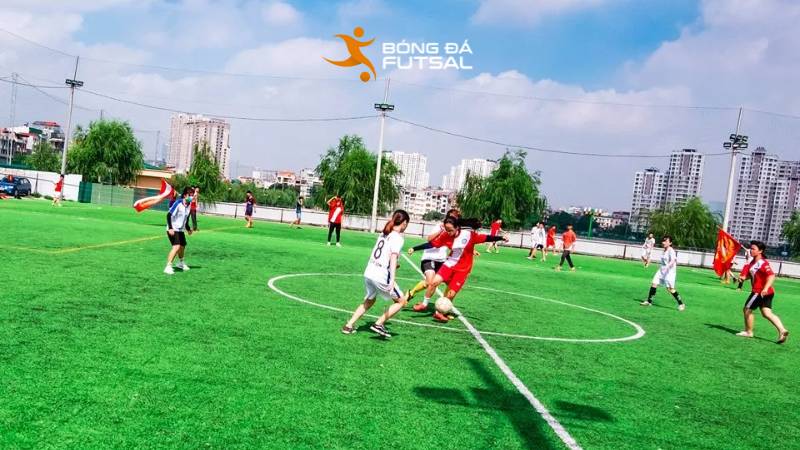 Những giải đáp thắc mắc về sân bóng Đầm Hồng 2