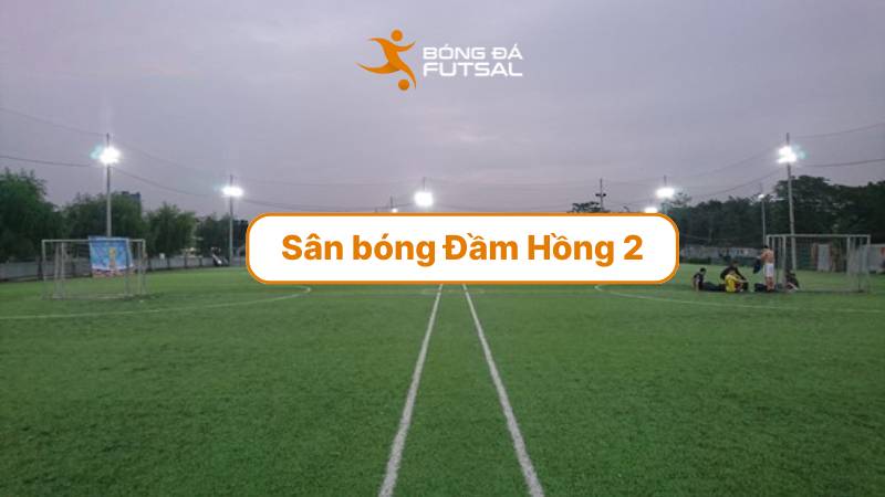 sân bóng đầm hồng 2
